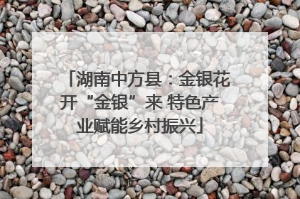 湖南中方县：金银花开“金银”来 特色产业赋能乡村振兴