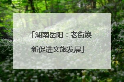 湖南岳阳：老街焕新促进文旅发展