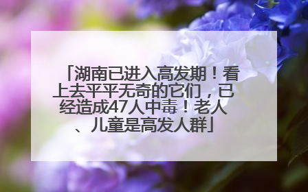 湖南已进入高发期！看上去平平无奇的它们，已经造成47人中毒！老人、儿童是高发人群