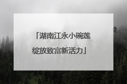 湖南江永小碗莲绽放致富新活力