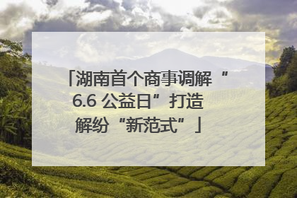 湖南首个商事调解“6.6 公益日”打造解纷“新范式”