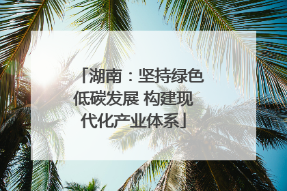 湖南：坚持绿色低碳发展 构建现代化产业体系