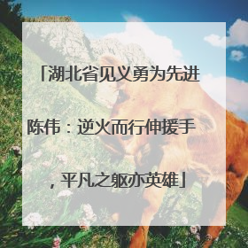 湖北省见义勇为先进陈伟：逆火而行伸援手，平凡之躯亦英雄