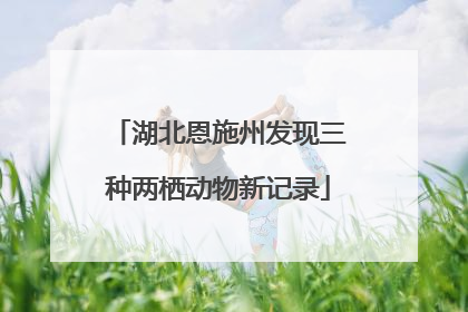 湖北恩施州发现三种两栖动物新记录