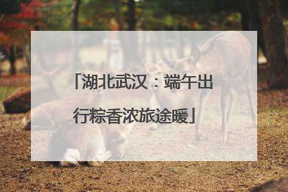 湖北武汉：端午出行粽香浓旅途暖