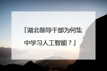 湖北领导干部为何集中学习人工智能？