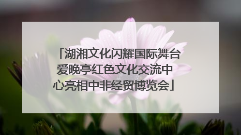 湖湘文化闪耀国际舞台 爱晚亭红色文化交流中心亮相中非经贸博览会
