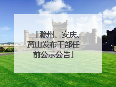 滁州、安庆、黄山发布干部任前公示公告