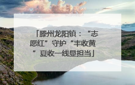 滕州龙阳镇：“志愿红”守护“丰收黄”夏收一线显担当