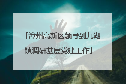 漳州高新区领导到九湖镇调研基层党建工作