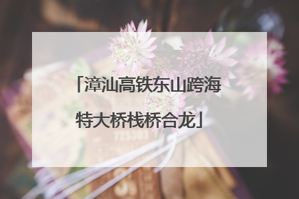 漳汕高铁东山跨海特大桥栈桥合龙