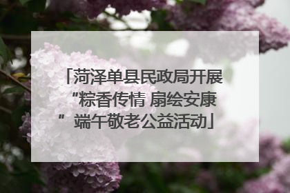 菏泽单县民政局开展“粽香传情 扇绘安康”端午敬老公益活动