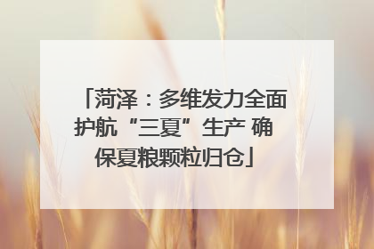 菏泽：多维发力全面护航“三夏”生产 确保夏粮颗粒归仓