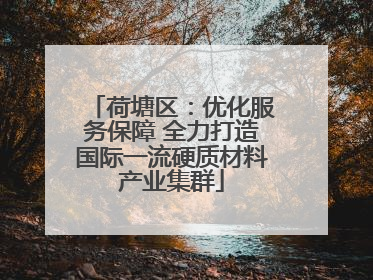 荷塘区：优化服务保障 全力打造国际一流硬质材料产业集群