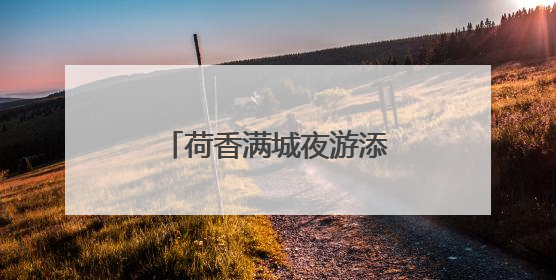 荷香满城夜游添趣 沙湖公园第11届荷花展开展