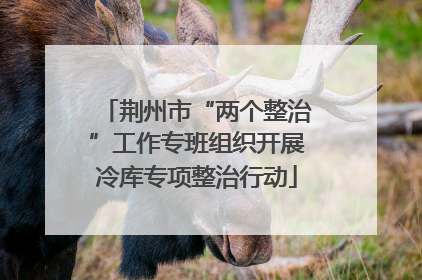 荆州市“两个整治”工作专班组织开展冷库专项整治行动