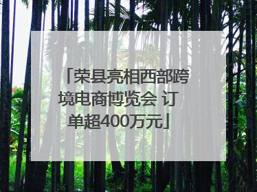荣县亮相西部跨境电商博览会 订单超400万元