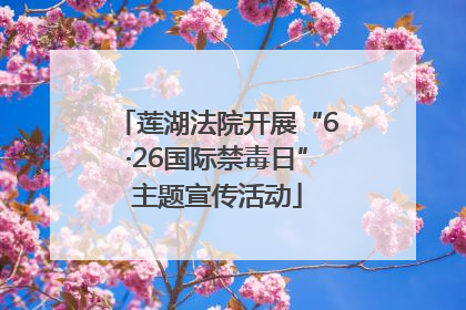 莲湖法院开展“6·26国际禁毒日”主题宣传活动