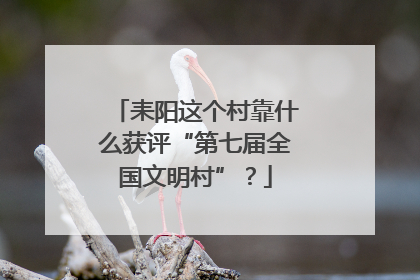 耒阳这个村靠什么获评“第七届全国文明村”？