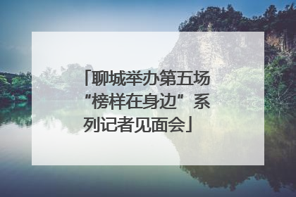 聊城举办第五场“榜样在身边”系列记者见面会