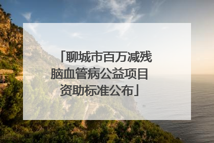 聊城市百万减残脑血管病公益项目资助标准公布