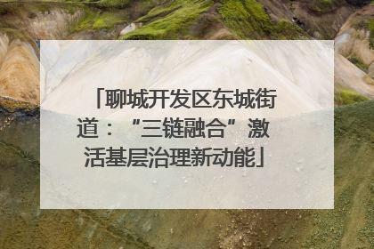 聊城开发区东城街道：“三链融合”激活基层治理新动能