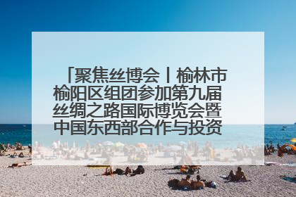 聚焦丝博会丨榆林市榆阳区组团参加第九届丝绸之路国际博览会暨中国东西部合作与投资贸易洽谈会