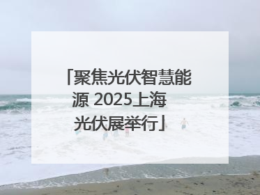 聚焦光伏智慧能源 2025上海光伏展举行