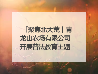 聚焦北大荒｜青龙山农场有限公司开展普法教育主题党日活动