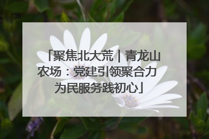 聚焦北大荒｜青龙山农场：党建引领聚合力 为民服务践初心