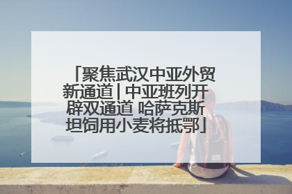 聚焦武汉中亚外贸新通道│中亚班列开辟双通道 哈萨克斯坦饲用小麦将抵鄂