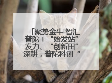 聚势金牛 智汇普陀〡“始发站”发力、“创新田”深耕，普陀科创“金牛”闪耀