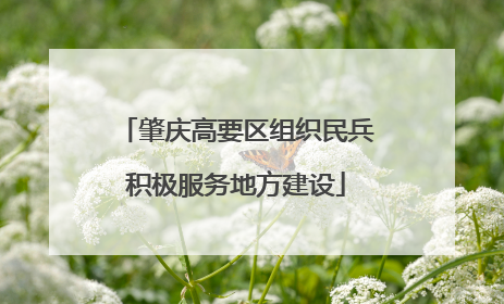 肇庆高要区组织民兵积极服务地方建设