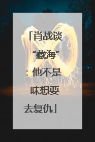 肖战谈“藏海”：他不是一味想要去复仇