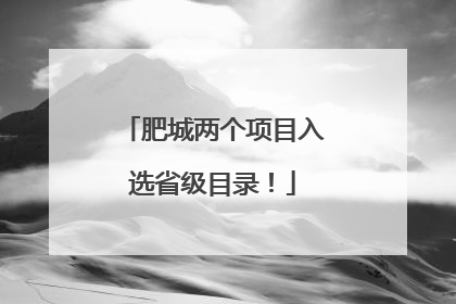 肥城两个项目入选省级目录！