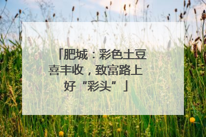 肥城：彩色土豆喜丰收，致富路上好“彩头”