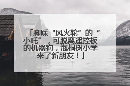 脚踩“风火轮”的“小吒”，可脱离遥控板的机器狗，泡桐树小学来了新朋友！