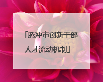 腾冲市创新干部人才流动机制