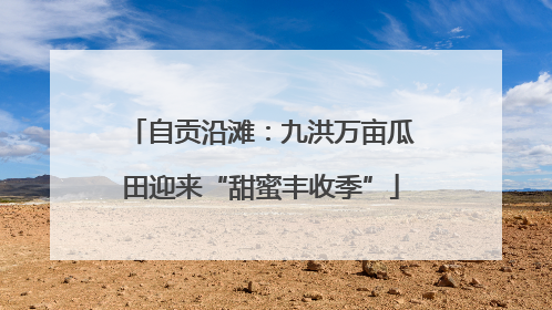自贡沿滩：九洪万亩瓜田迎来“甜蜜丰收季”