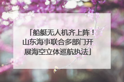 船艇无人机齐上阵！山东海事联合多部门开展海空立体巡航执法