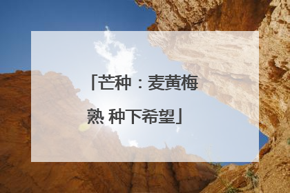芒种：麦黄梅熟 种下希望