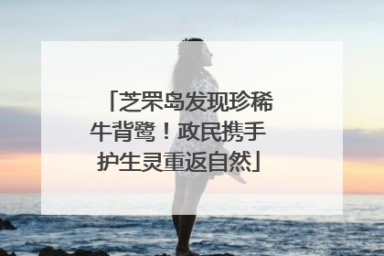 芝罘岛发现珍稀牛背鹭！政民携手护生灵重返自然
