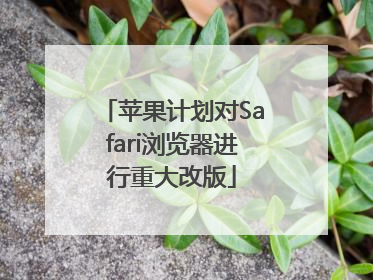 苹果计划对Safari浏览器进行重大改版