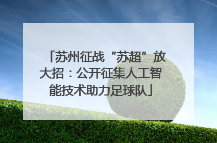 苏州征战“苏超”放大招：公开征集人工智能技术助力足球队