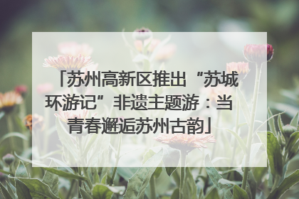 苏州高新区推出“苏城环游记”非遗主题游：当青春邂逅苏州古韵