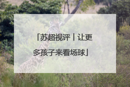 苏超视评︱让更多孩子来看场球