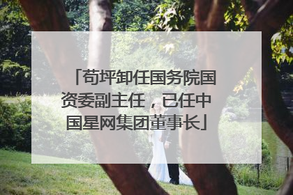 苟坪卸任国务院国资委副主任，已任中国星网集团董事长