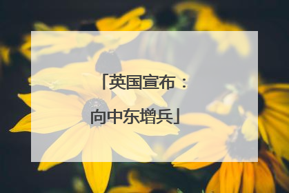 英国宣布：向中东增兵