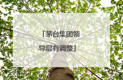 茅台集团领导层有调整