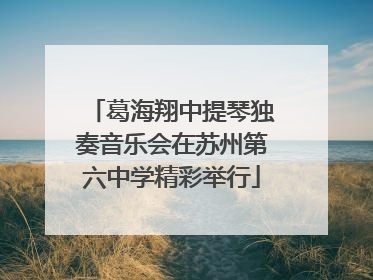 葛海翔中提琴独奏音乐会在苏州第六中学精彩举行